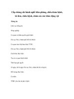 Cấp chứng chỉ hành nghề tiêm phòng, chẩn đoán bệnh, kê đơn, chữa bệnh, chăm sóc sức khỏe động vật pot