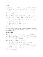 Những điều cần biết khi sử dụng Ôtô docx