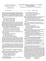 đề thi thử sinh đợt 2 quỳnh lưu nghệ an