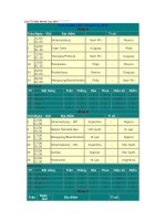 LỊCH THI ĐẤU WORLDCUPS NĂM 2010