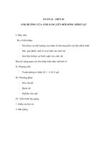 Tài liệu Sinh học 9 - ẢNH HƯỞNG CỦA ÁNH SÁNG LÊN ĐỚI SỐNG SINH VẬT pptx