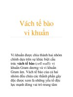 Vách tế bào pdf