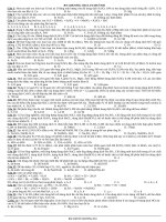 de cuong on tap HKII hoa 10