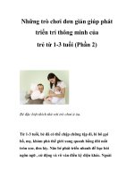 Những trò chơi đơn giản giúp phát triển trí thông minh của trẻ từ 1-3 tuổi (Phần 2) doc