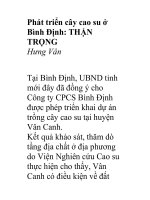Phát triển cây cao su ở Bình Định pptx