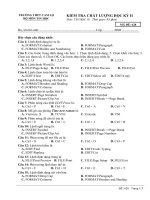 TIN 10 THI HKII B628