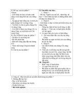 văn học địa phương T 70-71 văn 6