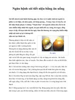 Ngừa bệnh sỏi tiết niệu bằng ăn uống potx