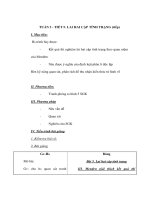 Giáo án Sinh học 9 - LAI HAI CẶP TÍNH TRẠNG (tiếp) doc