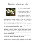 Dành dành núi chữa nôn mửa pdf