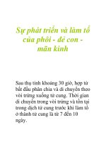 Sự phát triển và làm tổ của phôi - đẻ con mãn kinh pdf