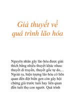 Giả thuyết về quá trình lão hóa pot