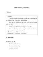 Sinh học 6 - NGUỒN GỐC CÂY TRỒNG pps