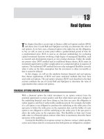 Financial Modeling with Crystal Ball and Excel Chapter 13 ppt