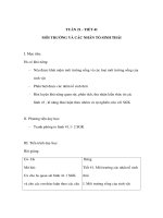 Tài liệu Sinh học 9 - MÔI TRƯỜNG VÀ CÁC NHÂN TỐ SINH THÁI pps