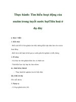Giáo án sinh học 8 - Thực hành: Tìm hiểu hoạt động của enzim trong tuyết nước bọt ppt