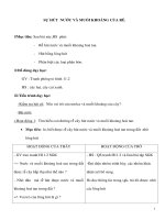 Giáo án Sinh học 6 - SỰ HÚT NƯỚC VÀ MUỐI KHOÁNG CỦA RỄ pot