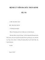 BỆNH LÝ VIÊM ĐA DÂY THẦN KINH (Kỳ 14) docx