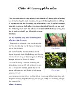 Chữa vết thương phần mềm pps