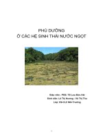 PHÚ DƯỠNG Ở CÁC HỆ SINH THÁI NƯỚC NGỌT pps