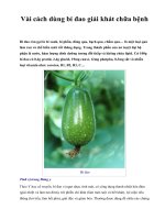 Vài cách dùng bí đao giải khát chữa bệnh pot