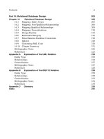 PATTERNS OF DATA MODELING- P4 pdf