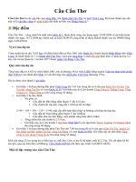 CẦU CẦN THƠ CHÀO MỪNG 30/4.