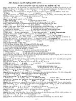 de cuong on thi TN- chuan