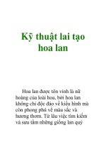 Kỹ thuật lai tạo hoa lan pptx