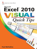 Microsoft Excel 2010 Visual potx
