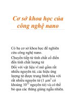 Cơ sở khoa học của công nghệ nano pptx