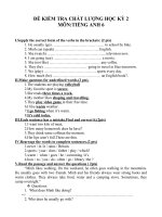 ĐỀ KIÊM TRA HK II TIÊNG ANH 6 (HAY)