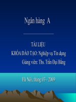 Nghiệp vụ tín dụng trong NHTM pptx