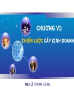 CHƯƠNG VI: CHIẾN LƯỢC CẤP KINH DOANH docx