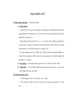 Giáo án Hoá 8 - NGUYÊN TỬ pps