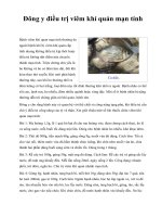 Đông y điều trị viêm khí quản mạn tính docx