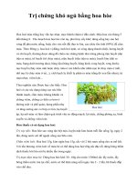 Trị chứng khó ngủ bằng hoa hòe doc