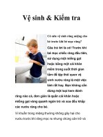 Vệ sinh & Kiểm tra pps