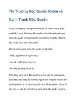 Thị Trường Độc Quyền pdf