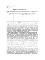 Quan điểm về văn hóa đọc trong giới trẻ ngày nay.