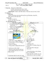 my thuat 1 - tuan 31 (co hinh )