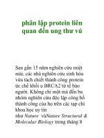 phân lập protein liên quan đến ung thư vú pps