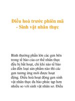 Điều hoà trước phiên mã - Sinh vật nhân thực pps