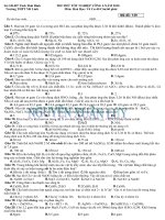 THAI BINH -NGUYỄN XUÂN LUY