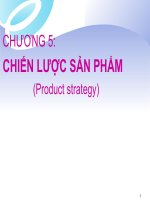 CHƯƠNG 5: CHIẾN LƯỢC SẢN PHẨM (Product strategy) potx