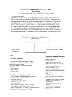 The Hanoi Tower Model of Excellence