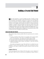Financial Modeling with Crystal Ball and Excel Chapter 3 potx