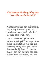 Các hormon tác dụng thông qua “các chất truyền tin thứ 2” doc