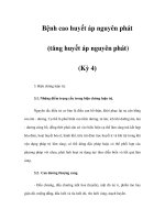 Bệnh cao huyết áp nguyên phát (tăng huyết áp nguyên phát) (Kỳ 4) ppt