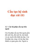 Cấu tạo hệ sinh dục cái (tt) potx